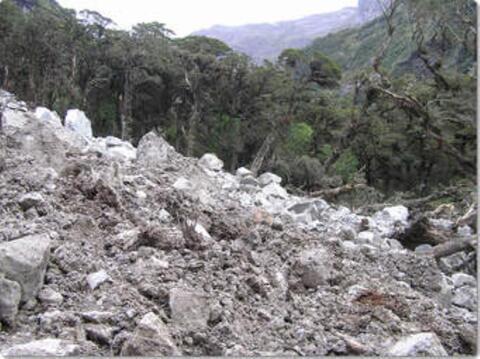 Koorete forest/Koori wora/ኮረቴ ደን